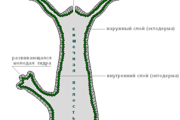 Сайт мега через тор